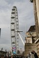 IMG_6954
