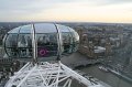 IMG_6973