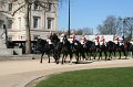 IMG_7154