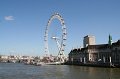 IMG_7186